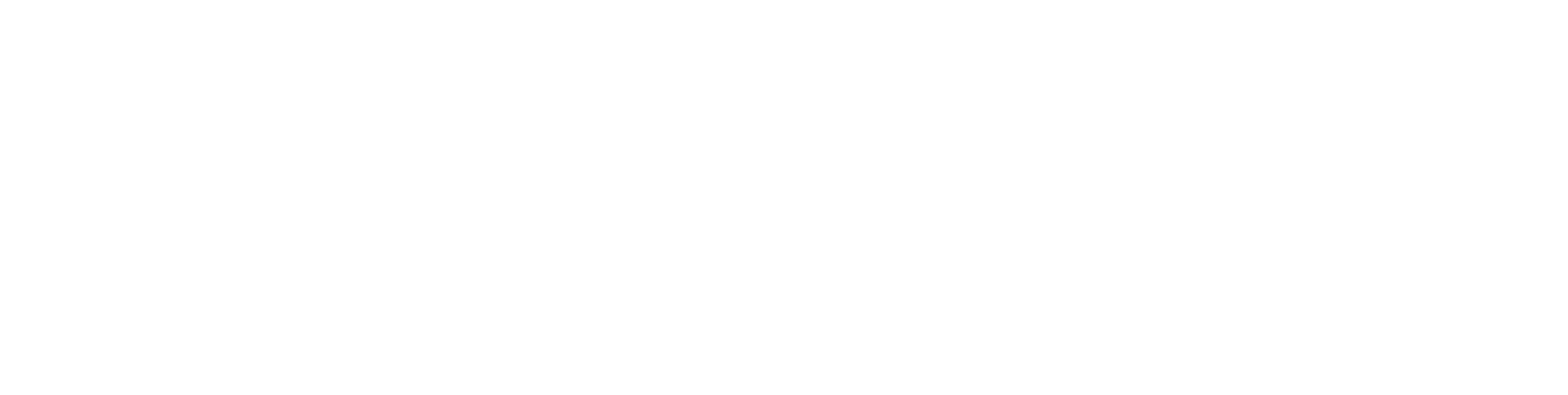 UBlizz LLC